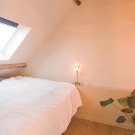 Ruimtezicht Cosy With Sauna דירה