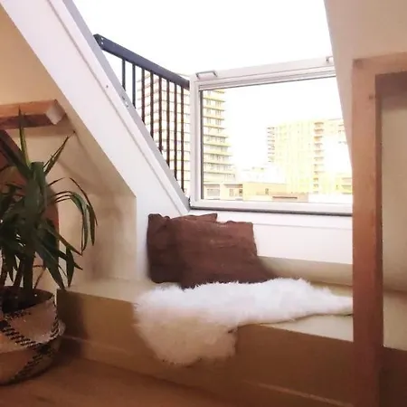 Ruimtezicht Cosy With Sauna דירה