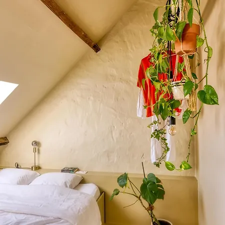 Ruimtezicht Cosy With Sauna *